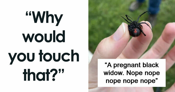 “WHY WOULD YOU TOUCH THAT?!”: 71 Things That Should Really Be Left Alone