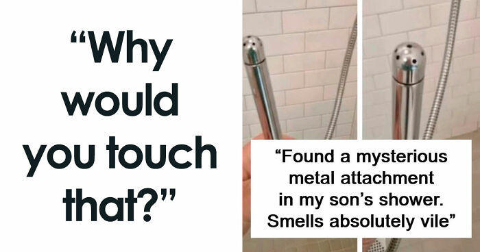 “WHY WOULD YOU TOUCH THAT?!”: 71 Things That Should Really Be Left Alone