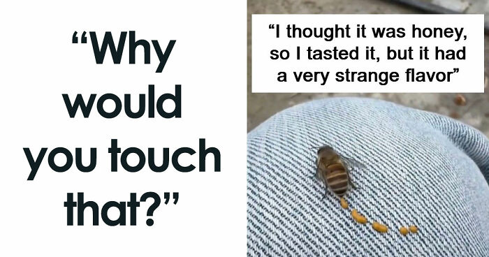 “WHY WOULD YOU TOUCH THAT?!”: 71 Things That Should Really Be Left Alone