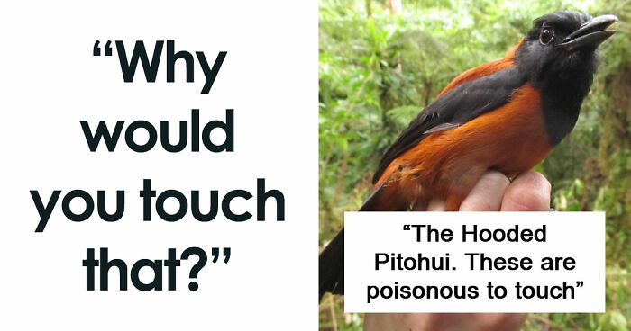 “WHY WOULD YOU TOUCH THAT?!”: 71 Things That Should Really Be Left Alone
