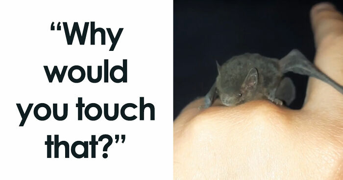 “WHY WOULD YOU TOUCH THAT?!”: 71 Things That Should Really Be Left Alone