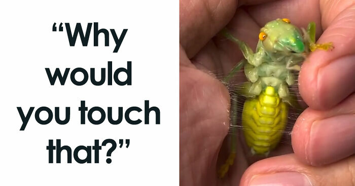“WHY WOULD YOU TOUCH THAT?!”: 71 Things That Should Really Be Left Alone