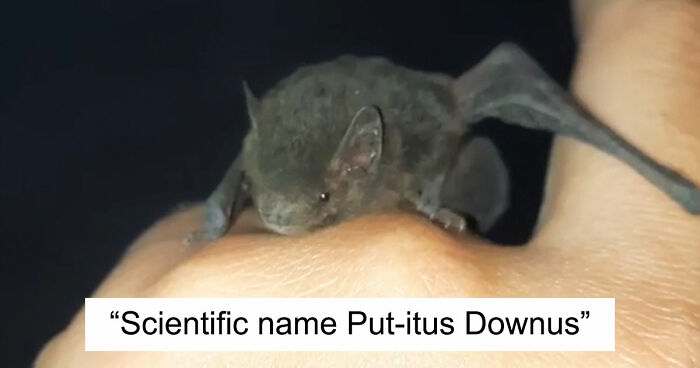 “WHY WOULD YOU TOUCH THAT?!”: 71 Things That Should Really Be Left Alone