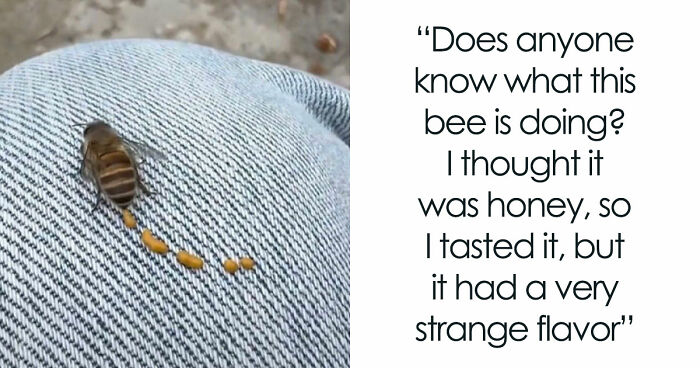 “WHY WOULD YOU TOUCH THAT?!”: 71 Things That Should Really Be Left Alone
