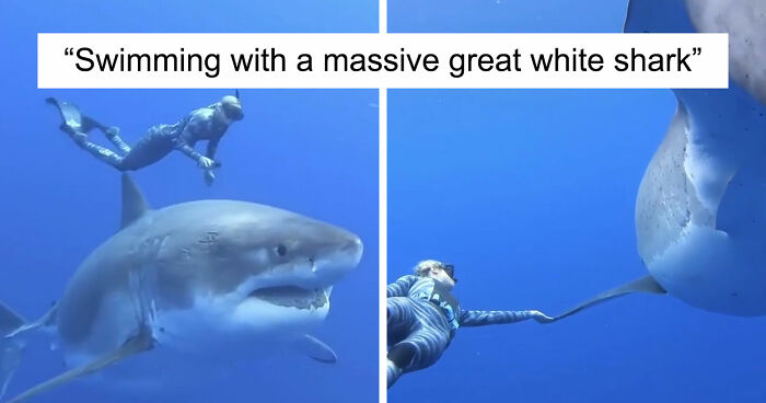 “WHY WOULD YOU TOUCH THAT?!”: 71 Things That Should Really Be Left Alone