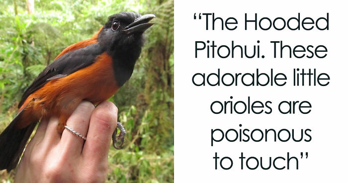 “WHY WOULD YOU TOUCH THAT?!”: 71 Things That Should Really Be Left Alone