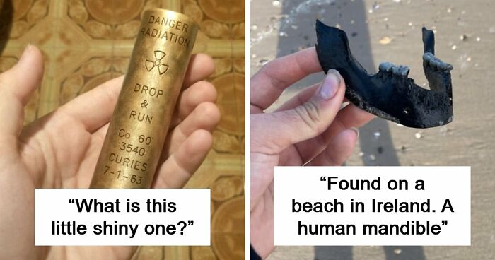 “WHY WOULD YOU TOUCH THAT?!”: 71 Things That Should Really Be Left Alone