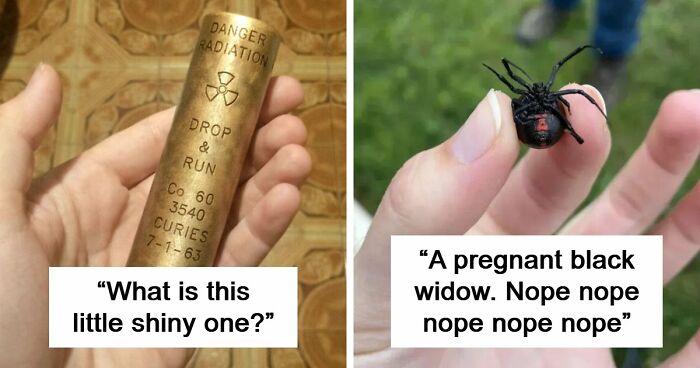 “WHY WOULD YOU TOUCH THAT?!”: 71 Things That Should Really Be Left Alone
