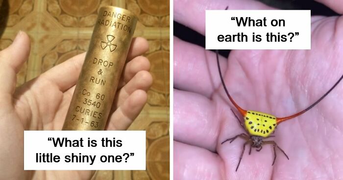 “WHY WOULD YOU TOUCH THAT?!”: 71 Things That Should Really Be Left Alone
