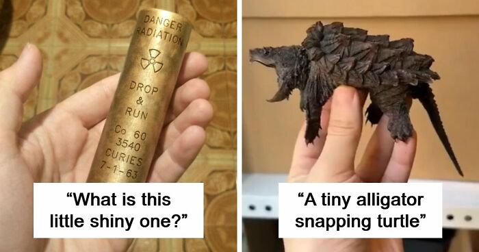 “WHY WOULD YOU TOUCH THAT?!”: 71 Things That Should Really Be Left Alone