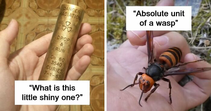 “WHY WOULD YOU TOUCH THAT?!”: 71 Things That Should Really Be Left Alone
