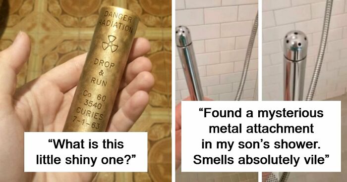 “WHY WOULD YOU TOUCH THAT?!”: 71 Things That Should Really Be Left Alone
