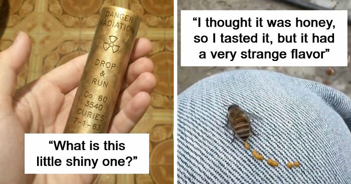 “WHY WOULD YOU TOUCH THAT?!”: 71 Things That Should Really Be Left Alone