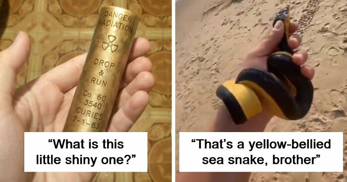 “WHY WOULD YOU TOUCH THAT?!”: 71 Things That Should Really Be Left Alone