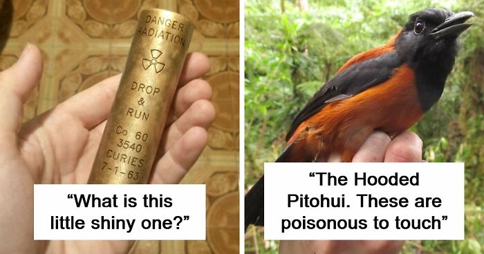 “WHY WOULD YOU TOUCH THAT?!”: 71 Things That Should Really Be Left Alone