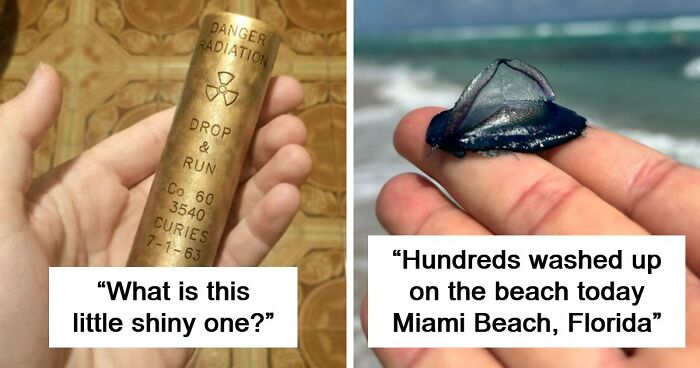 “WHY WOULD YOU TOUCH THAT?!”: 71 Things That Should Really Be Left Alone