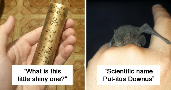 “WHY WOULD YOU TOUCH THAT?!”: 71 Things That Should Really Be Left Alone