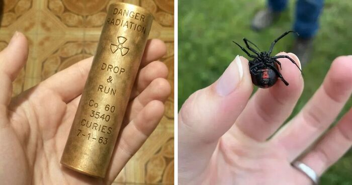 “WHY WOULD YOU TOUCH THAT?!”: 71 Things That Should Really Be Left Alone