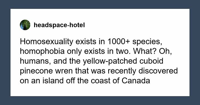 85 Wild Tumblr Gems The Internet Refuse To Forget To This Day (New Pics)