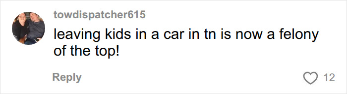 Comment mentioning felony charge for leaving kids in car in Tennessee Comment mentioning felony charge for leaving kids in car in Tennessee