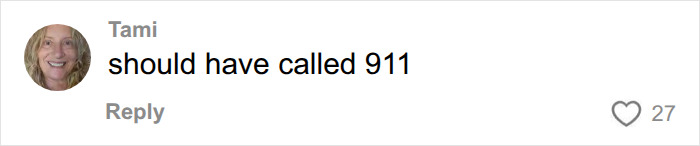 Comment says should have called 911 about kids alone in hot car Comment says should have called 911 about kids alone in hot car