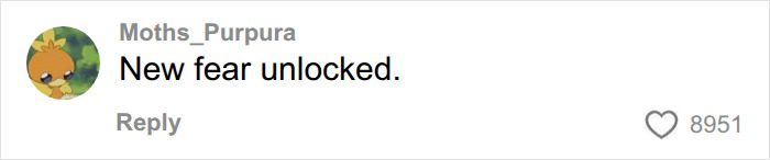 Comment expressing a new fear about airport security