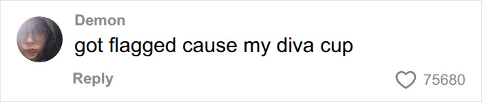 Comment about scanner flagging a diva cup at airport security