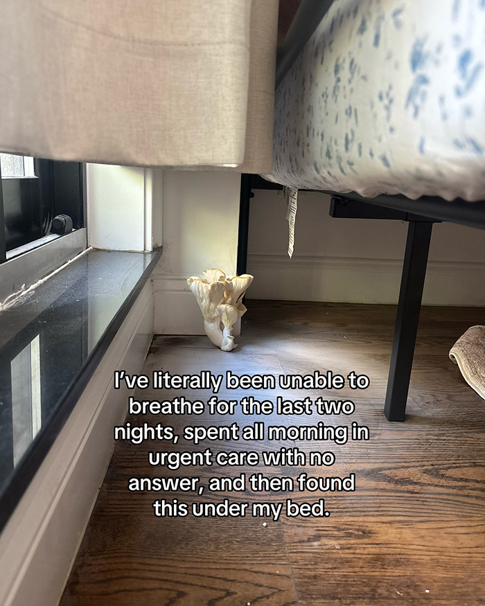 Woman Stunned By What She Finds Under Her Bed After Waking Up Multiple Nights Unable To Breathe