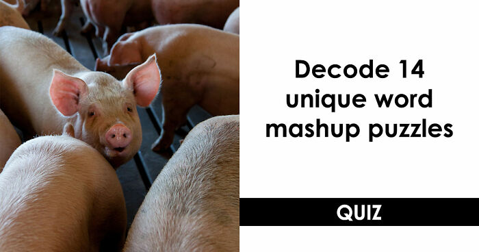 Prove Your General Knowledge Skills In This 14-Question Word Mashups Quiz