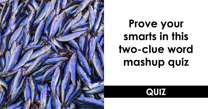 Prove Your General Knowledge Skills In This 14-Question Word Mashups Quiz