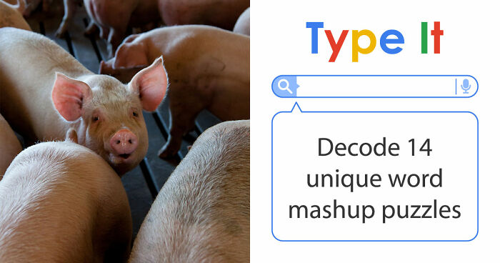 Prove Your General Knowledge Skills In This 14-Question Word Mashups Quiz