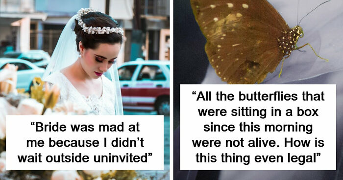 30 Brides Who Caused A Massive Mess At Their Weddings