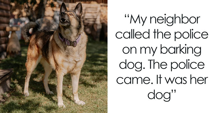 34 True Stories About Neighbors From Hell Making Every Single Day A Hassle
