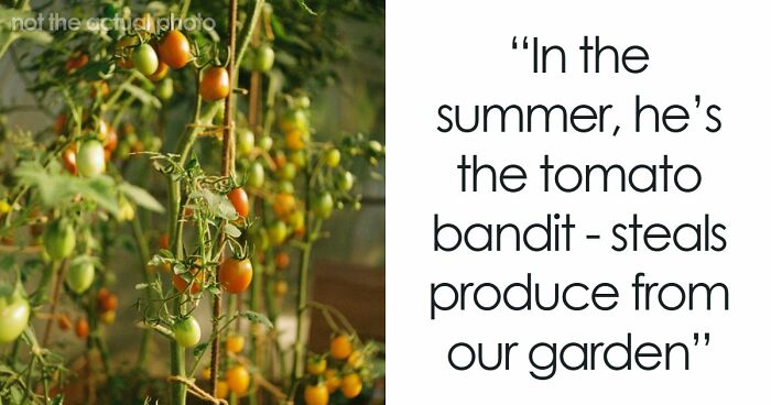 34 True Stories About Neighbors From Hell Making Every Single Day A Hassle