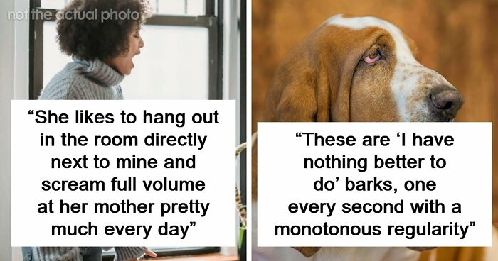 34 True Stories About Neighbors From Hell Making Every Single Day A Hassle