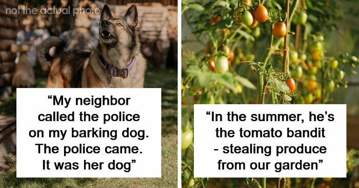 34 True Stories About Neighbors From Hell Making Every Single Day A Hassle