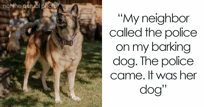 34 True Stories About Neighbors From Hell Making Every Single Day A Hassle