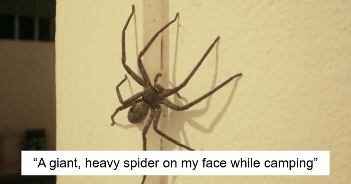 33 Stories That Prove Sometimes The Real Nightmare Starts After You Wake Up