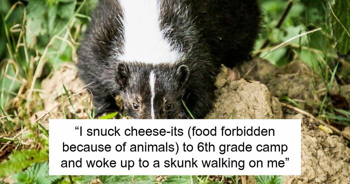 33 Stories That Prove Sometimes The Real Nightmare Starts After You Wake Up