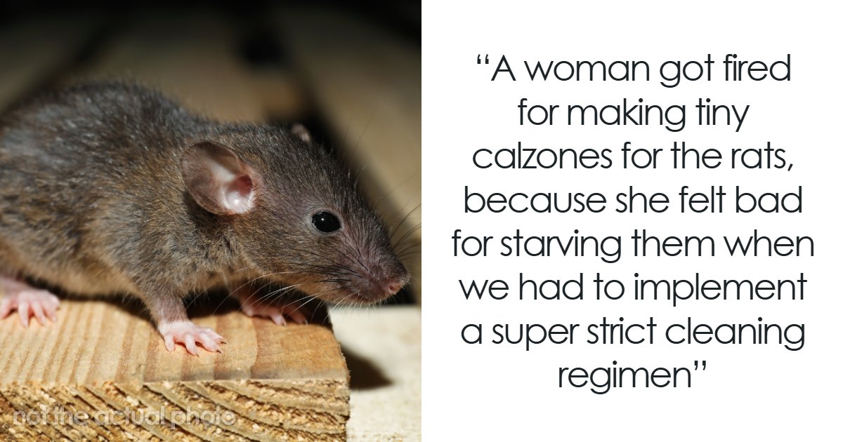 69 Employees Who Got Fired For The Most Ridiculous Reasons