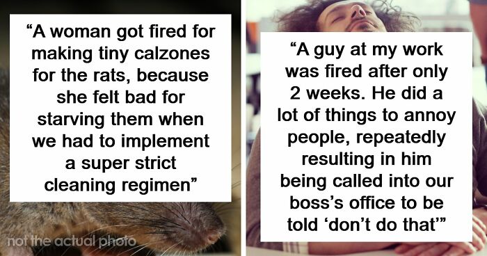 69 Employees Who Got Fired For The Most Ridiculous Reasons