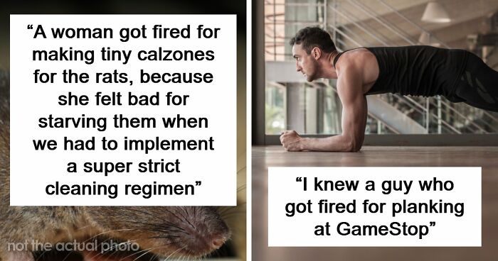 69 Employees Who Got Fired For The Most Ridiculous Reasons