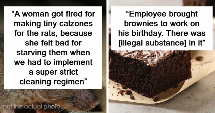 69 Employees Who Got Fired For The Most Ridiculous Reasons