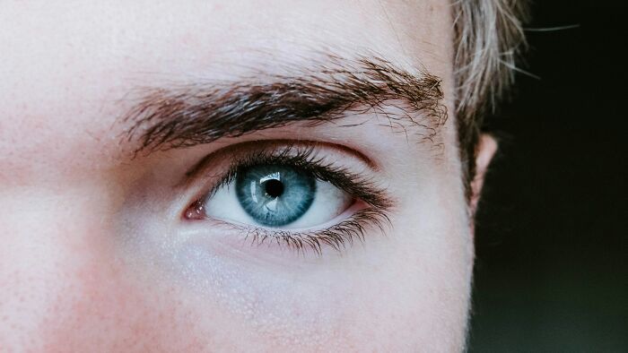 77 Wedding Guest Horror Stories That Left Couples Speechless