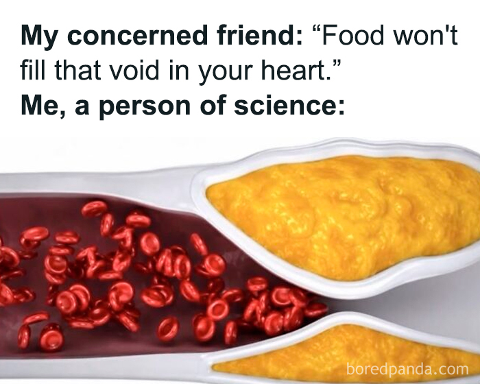 A relatable meme showing a scientific diagram of a clogged artery, humorously implying food fills a void.