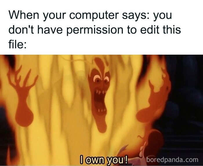 A relatable and respectful meme of a fiery character, expressing frustration when a computer denies access, boosting morale.