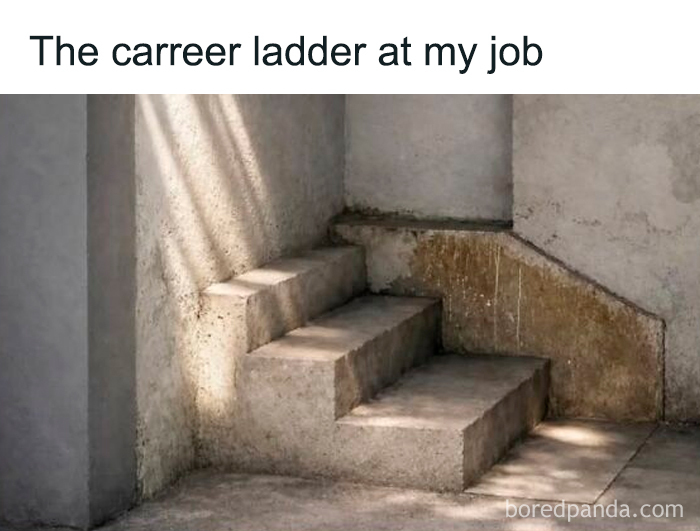 A meme showing a d**d-end career ladder, boosting morale with relatable humor.