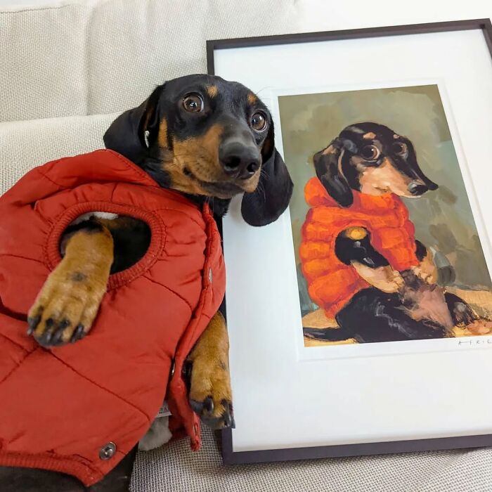 These 40 Adorable Dogs Are Exactly What You Need To Start Your Week With A Smile