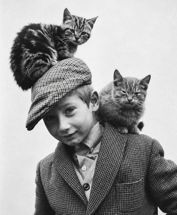 30 More Vintage Cat Photos That Prove Our Love For Cats Hasn't Changed In Over A Century