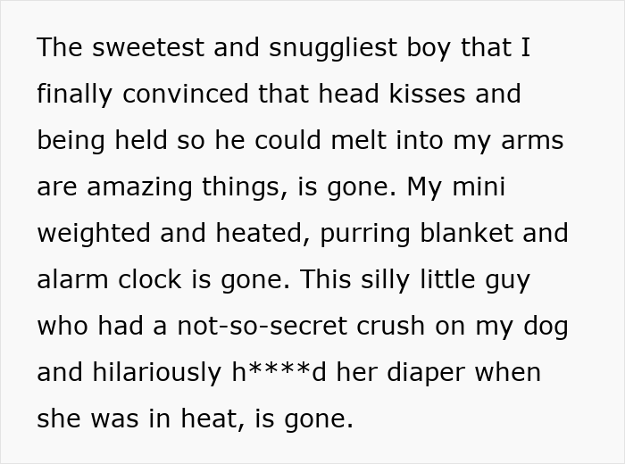 Text describing the bond with a beloved cat that is now lost due to a house sitter's negligence.